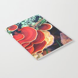 Mycology Notebook