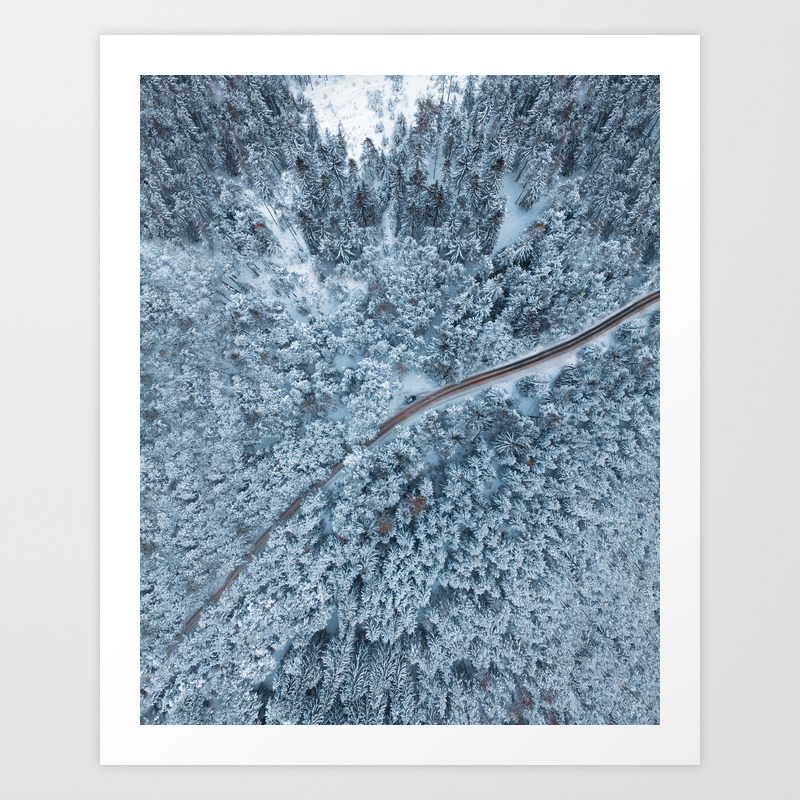 Nature photography Finland Minimalist wall art Forest view Fine art landscape print Frost covered lingonberry shrubs
