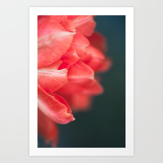 Peach Ruffle Art Print