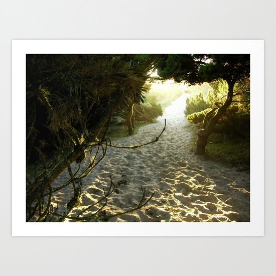 Nehalem Art Print