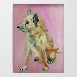 Marvelous Mystery Mutt Dog Portrait Poster