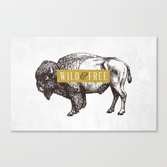 Wild & Free (Bison) Canvas Print