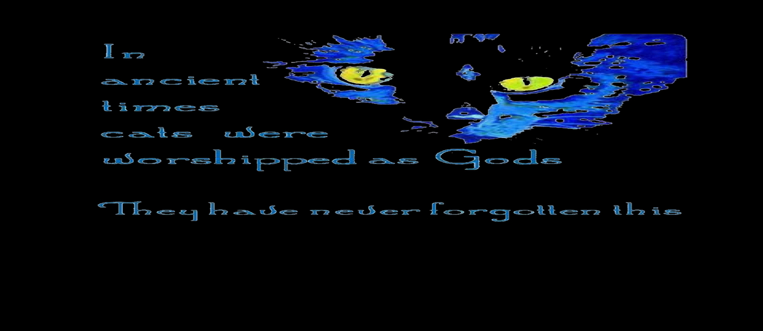 In Ancient Times Cats Were Worshipped As Gods Coffee Mug By Taiche
