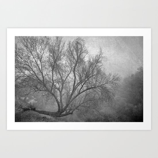 Morning in the fog. M Art Print