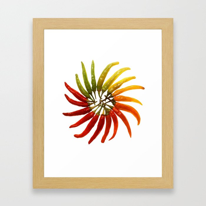 Chili Color Wheel Vector Framed Art Print