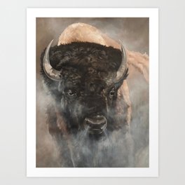 Bison Art Print