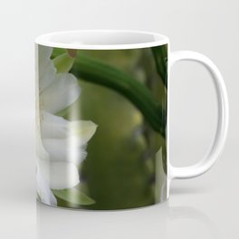 Cereus Morning  Coffee Mug