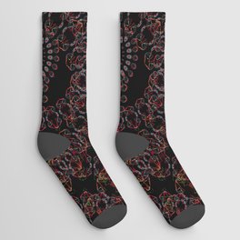 Colorandblack series 1723 Socks