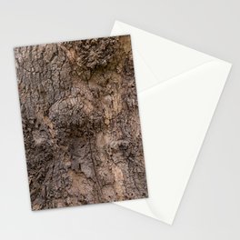 bark pattern of a tree in nature forest Stationery Card