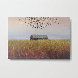 Dissolve Me Metal Print | Ruralexploration, Landscape, Farm, Sky, Fields, Rusticbarn, Color, Anniebailey, Abandoned, Birds 