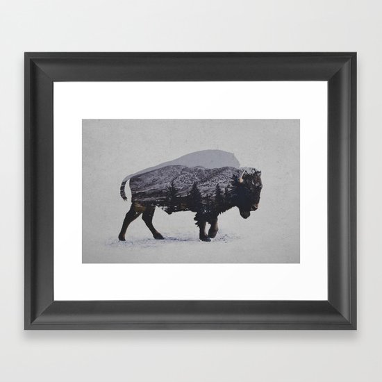 The American Bison Framed Art Print