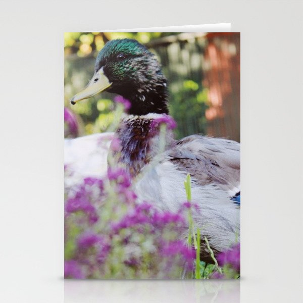 Afternoon Duck Stationery Cards