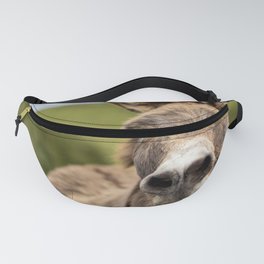 Christmas season, donkey with decoration, funny and cute animal. Fanny Pack