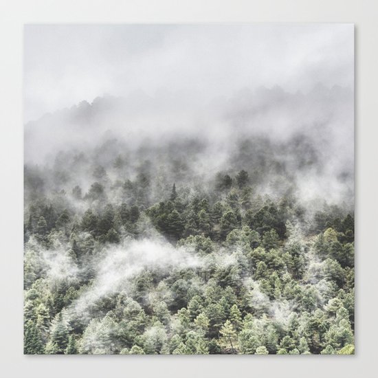 "Mountain light III". Wildderness. Mountains Canvas Print