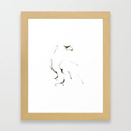 Hawk Framed Art Print