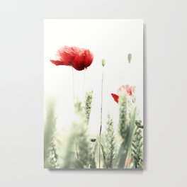 Poppy Poppies Mohn Mohnblume Metal Print | Blumen, Foto, Color, Mohn, Photo, Blume, Long Exposure, Poppies, Poppy, Flower 