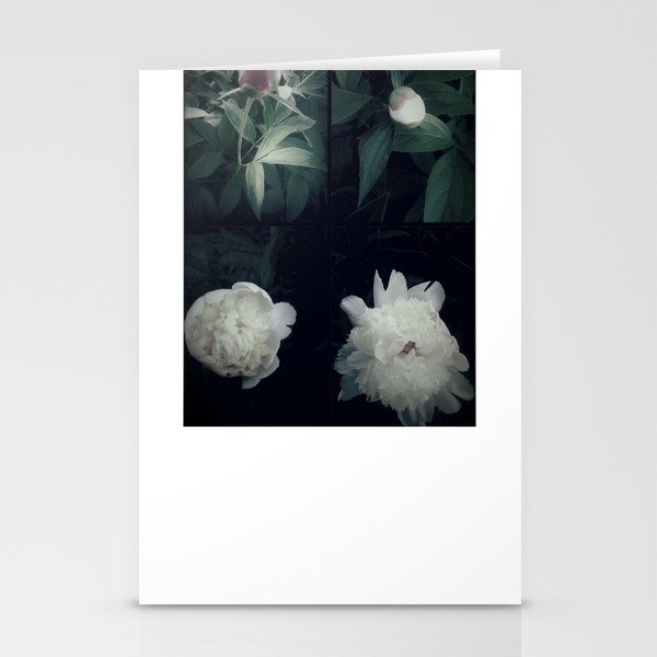 Blooming Flower Stationery Cards
