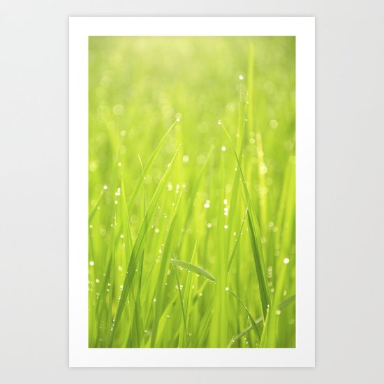 Morning Dew Art Print