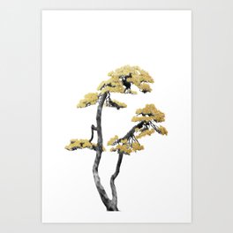 Bonsai Tree VI Art Print