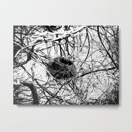 A Home In Chaos Metal Print