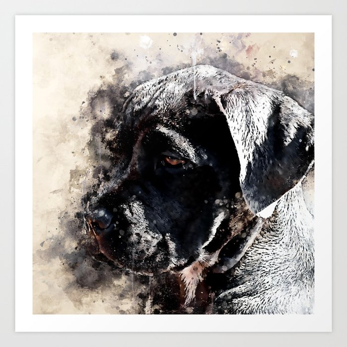 Cane Corso Italian Mastiff Dog Ws Art Print By Gxp Design