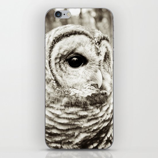 Wise Old Owl iPhone & iPod Skin