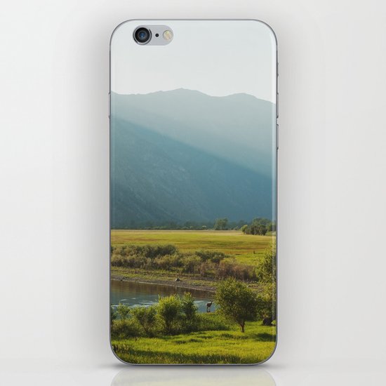 Wading Deer iPhone Skin