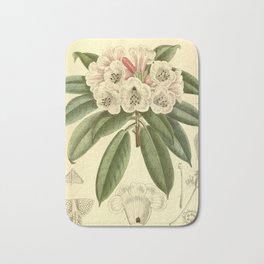 Rhododendron monosematum 1916 Bath Mat | Rhododendron, Drawing, Flower, Illustration, Horticulture, Botany, Nature, Botanical, Scientific, 1916 