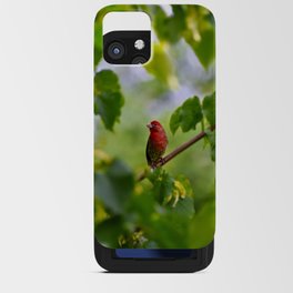 Red Finch iPhone Card Case