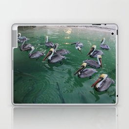 Pelican Beach Laptop Skin