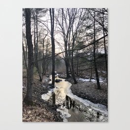 Winter creek Canvas Print