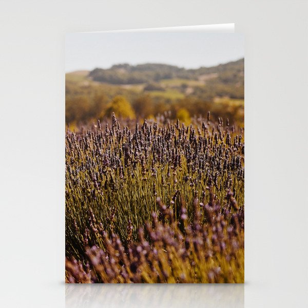 Lavender Fields IV Stationery Cards