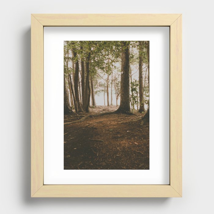 Into the Woods in Summertime Recessed Framed Print