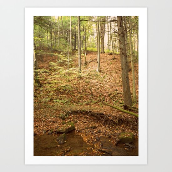 Life Is Uphill Art Print