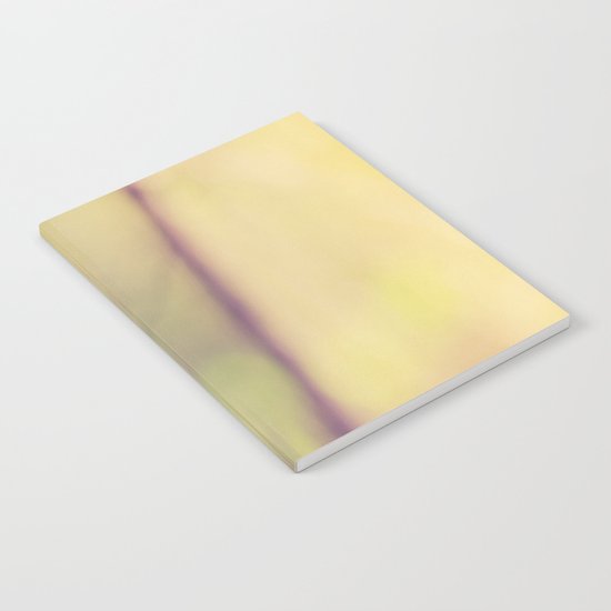 The Beginning Notebook