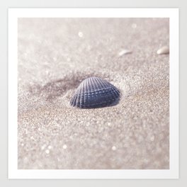 Seashell on a french summer beach - coastal nature and travel photography Art Print