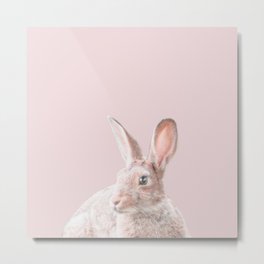 Bunny Metal Print