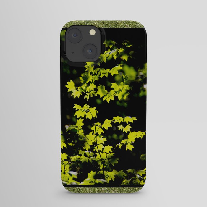 late summer sunny maple leaves iPhone Case