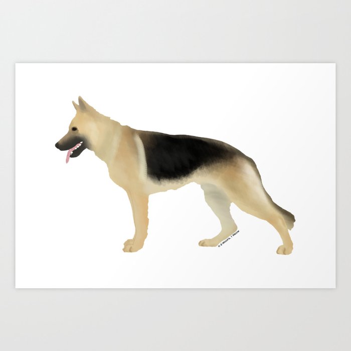 Faded black and tan german hot sale shepherd