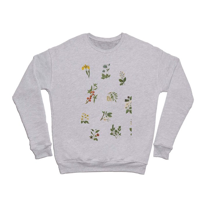 Botanical Pattern Crewneck Sweatshirt