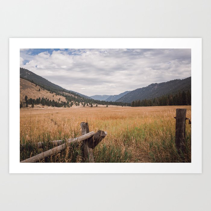 The Montana Collection - Durnam Meadow Art Print