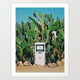 Cactus IV Art Print