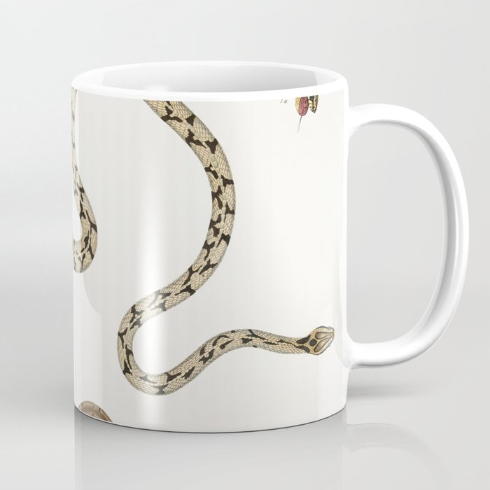 Dipsus Gocool & Black Headed Lycodon Coffee Mug