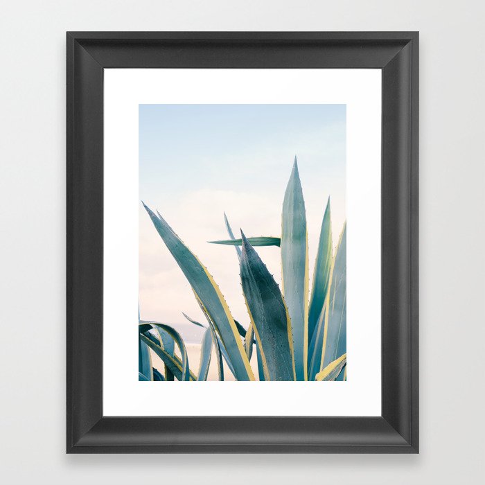 Coastal Agave Cactus Framed Art Print