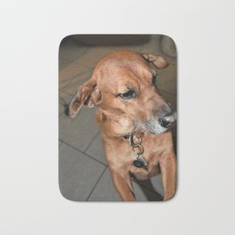 Pet Me  Bath Mat | Funnyanimals, Digital, Photo, Canine, Dog, Domesticdog, Cutedogs, Color, Domesticdogs, Dogs 