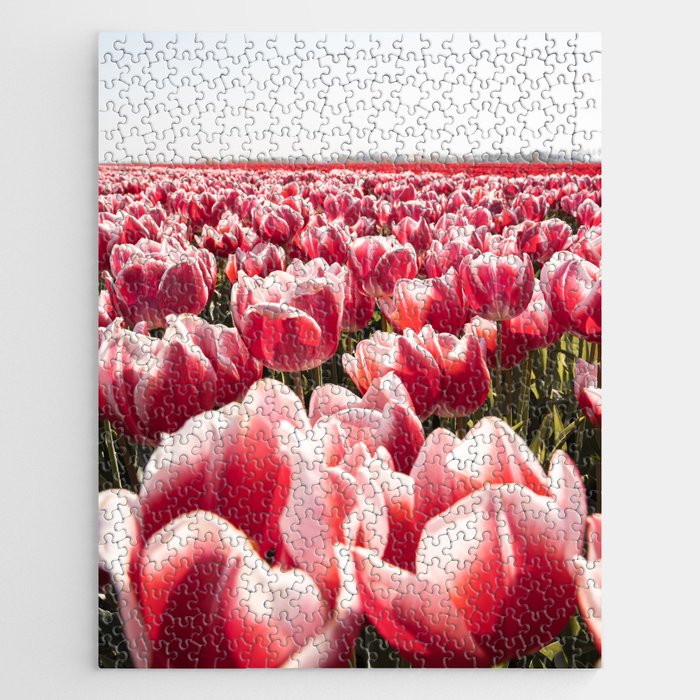 Tulip Field In Holland Floral Photo | Europe Travel Photography Red Flowers Spring Art Print Jigsaw Puzzle