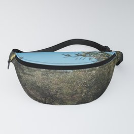 Olive trees in the Apulian landscape in autumn.  Fanny Pack