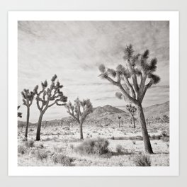 Joshua Tree Grey By CREYES Art Print