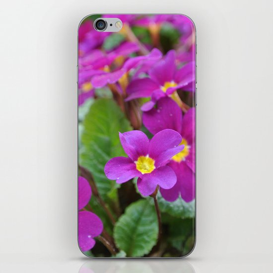 Along the Path iPhone & iPod Skin