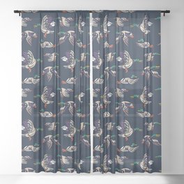 Male Mallard ducks Sheer Curtain